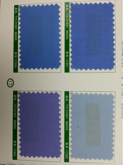 SD-DGYE   滌棉細珠帆  T/C  21*21   96*55 側面照